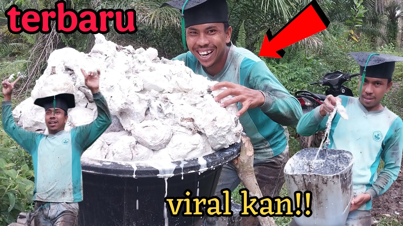 GETAH DERAS SEPERTI AIR TERJUN‼️JARANG  ADA ORANG YANG TAU
