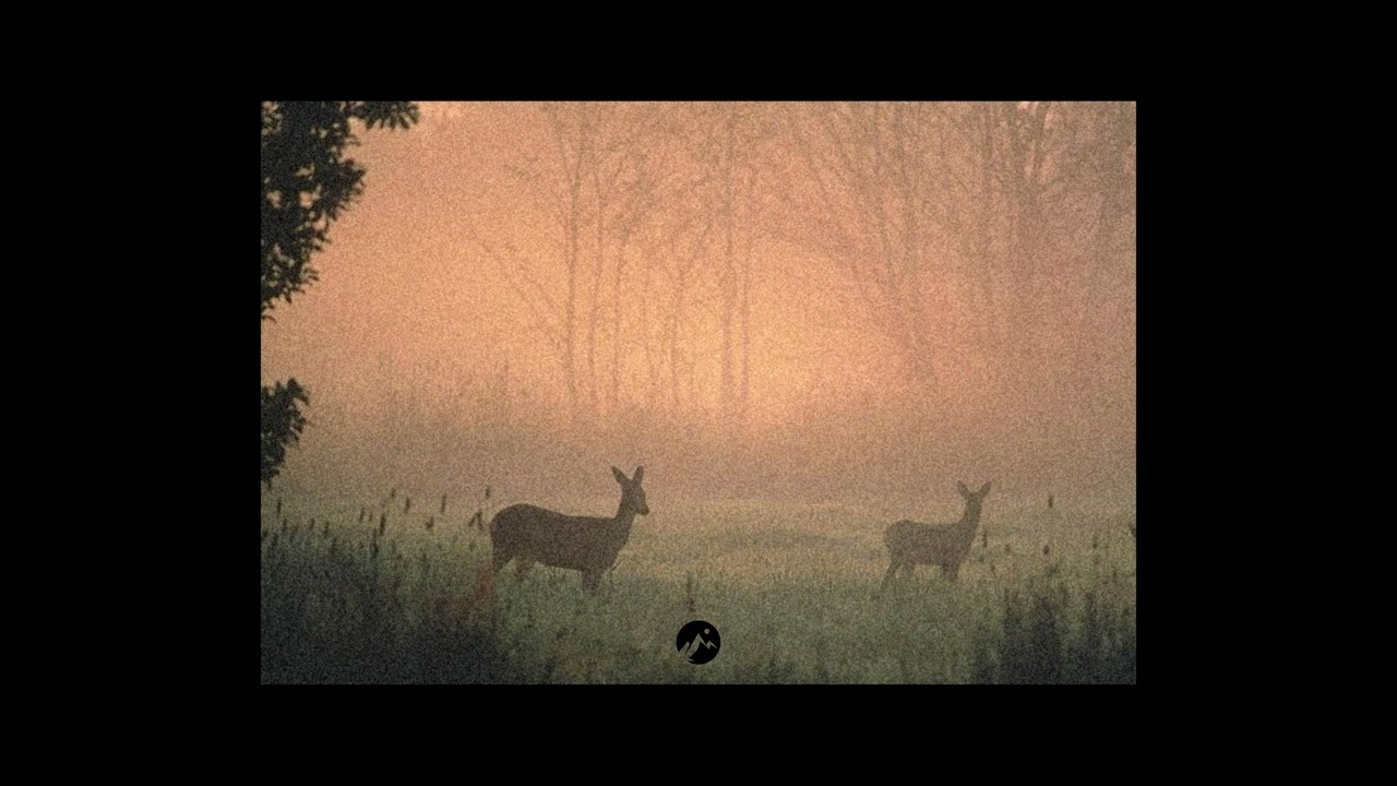 Indie Guitar x Jeremy Zucker Type Beat - don't try