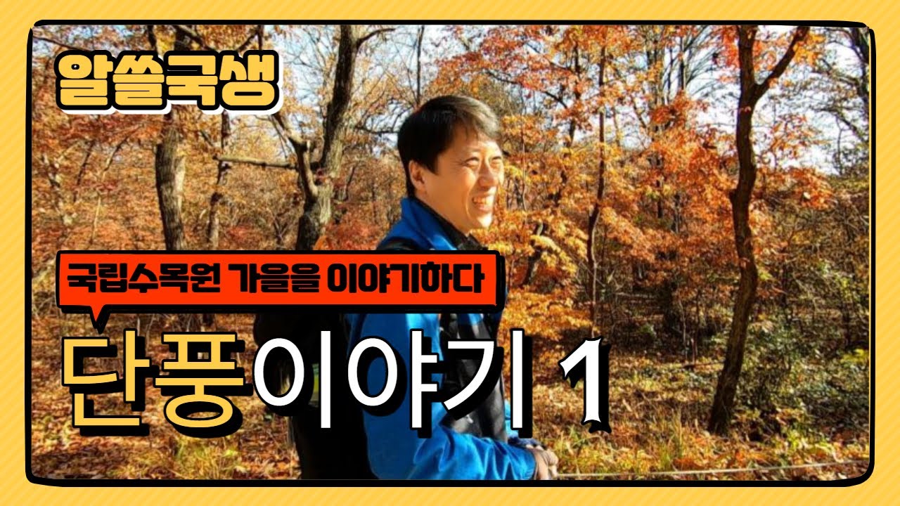 [알쓸국생] 국립수목원 단풍을 이야기하다! 단풍에 대한 첫 번째 이야기!
