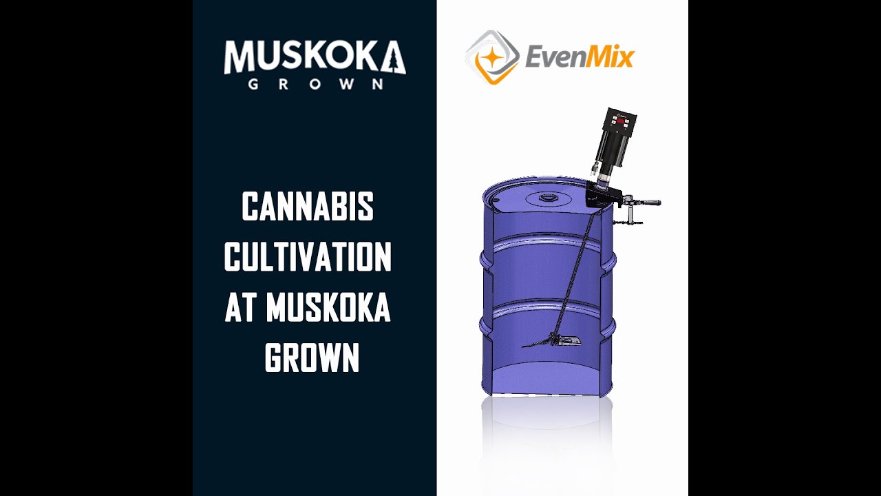 Выращивание каннабиса в Muskoka Grown