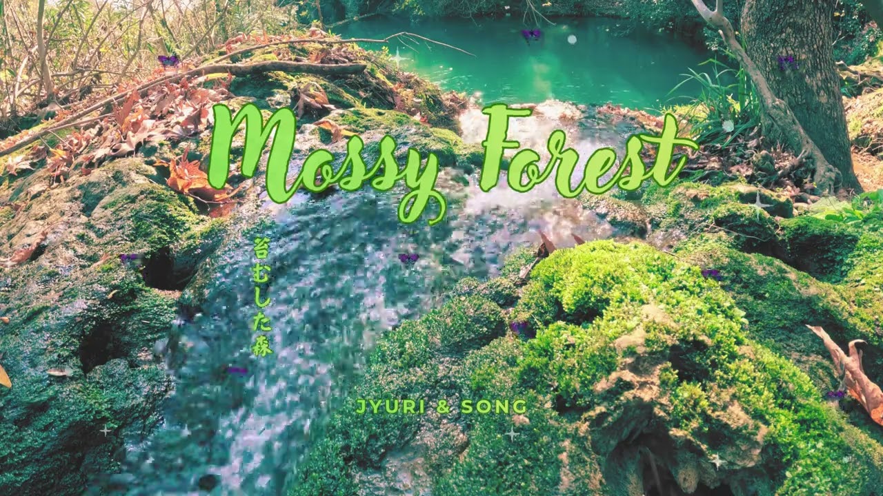 Jyuri & Song - Mossy Forest 苔むした森