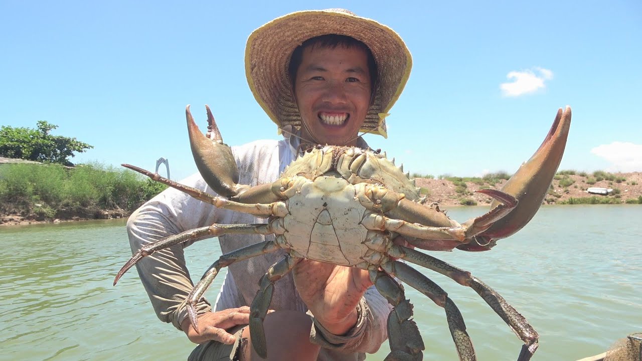 小池收网抓到特大巨无霸，赶海十多年打破记录，回家一称2.4斤重