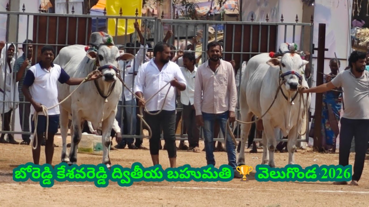 బోరెడ్డి కేశవరెడ్డి ‌జూనియర్ వీర నరసింహ రెడ్డి సాంబశివా రెడ్డి సీనియర్ వెలుగొండ