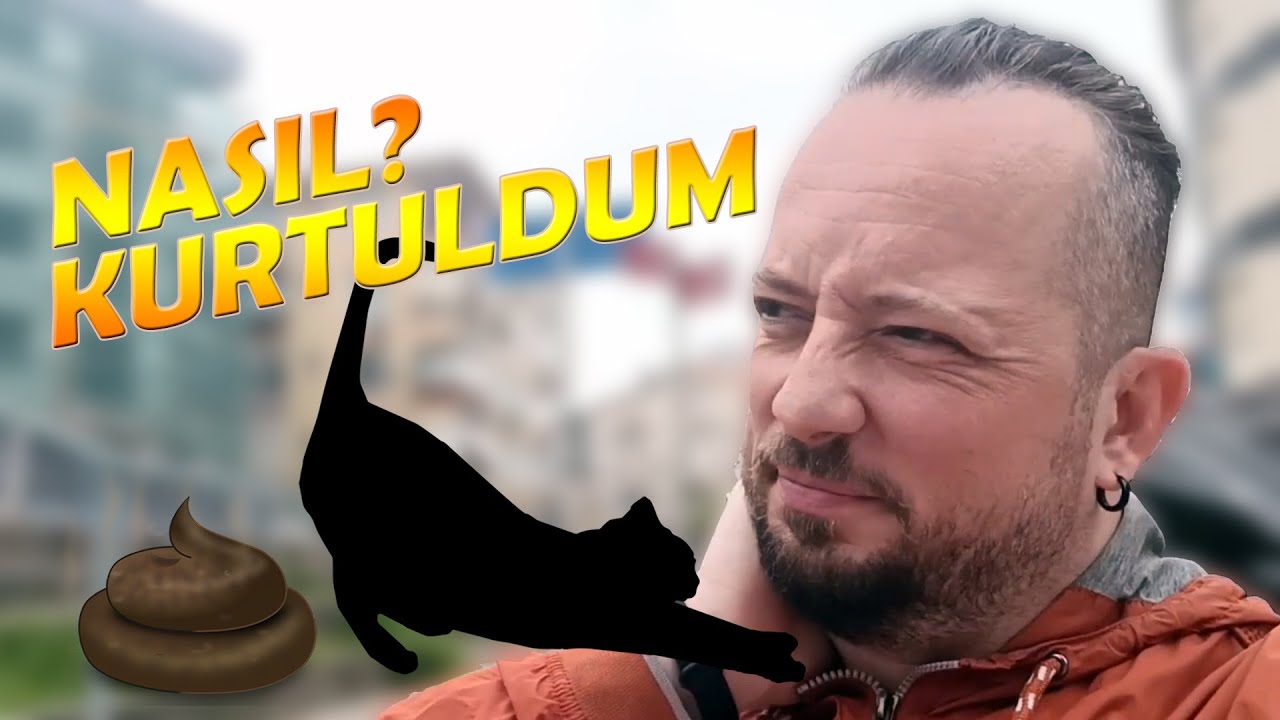 Kediler Motosiklet İçin Hijyen Sorununa Dönüşürse