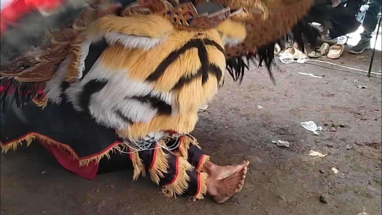 Kaget Setanan Dinamakan Barongan Galak Dewa Dewi Drumband Guntur 