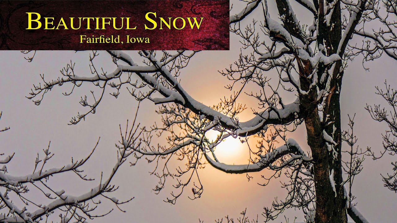 Beautiful Snow in Fairfield Iowa • January 22, 2023