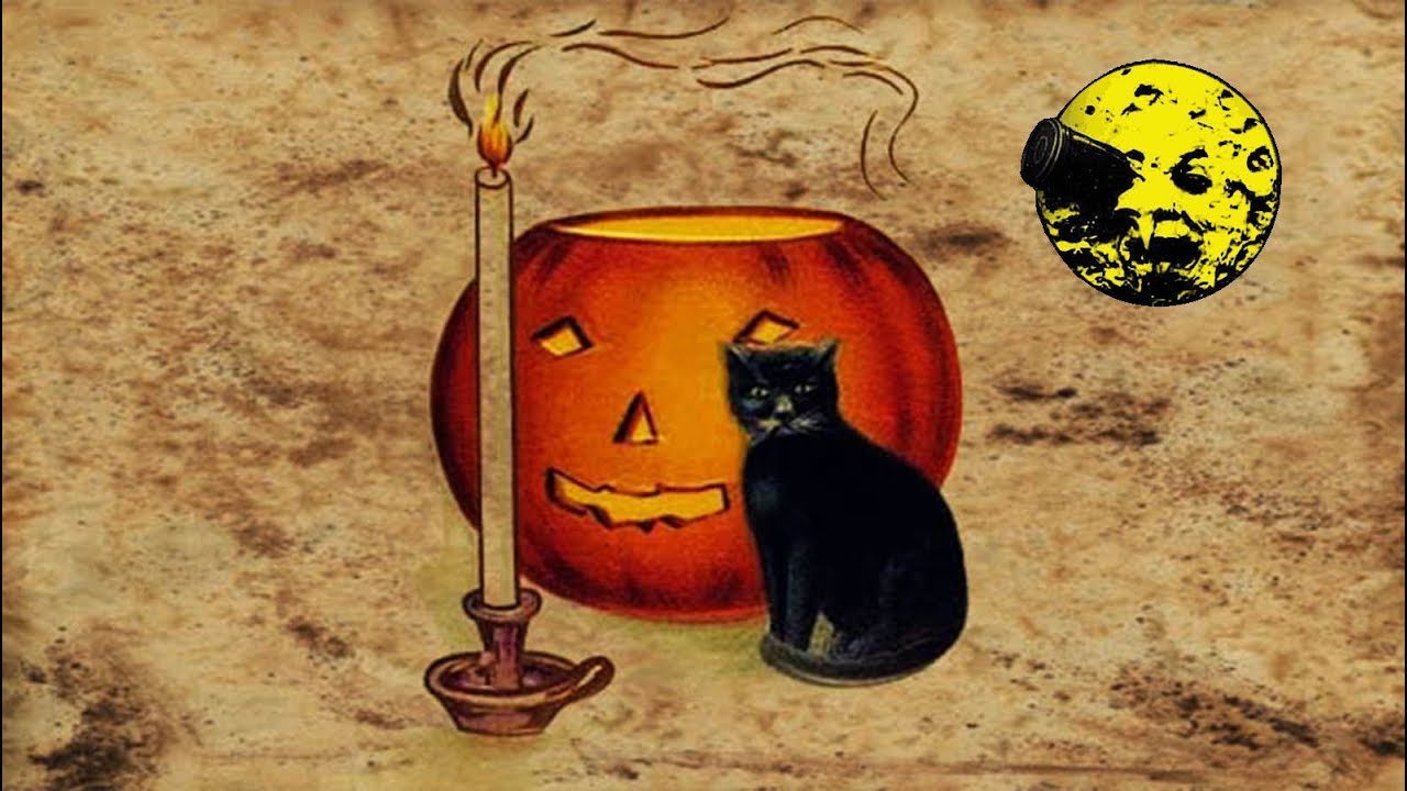 Black Cat Superstition