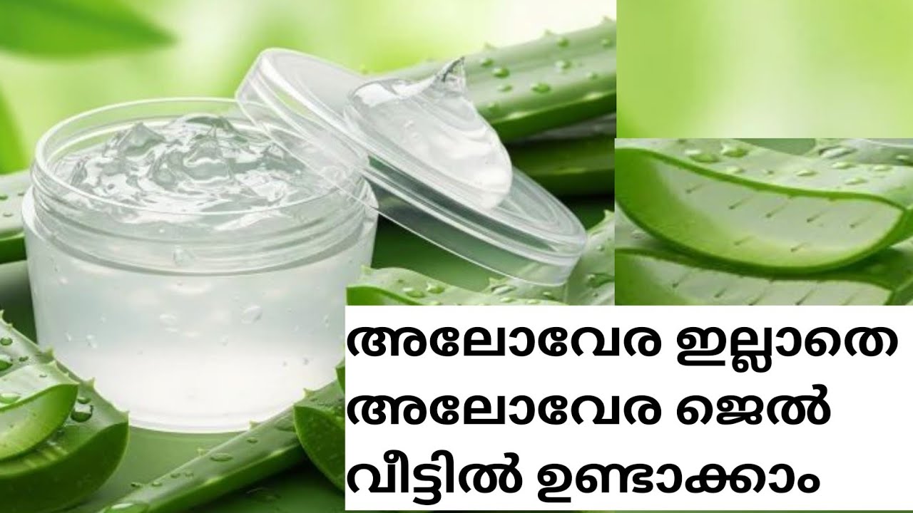 😱 ഇനി അലോവേര ഇല്ലെങ്കിൽ പോലും വീട്ടിൽ അലോവേര ജെൽ ഉണ്ടാക്കിയെടുക്കാം വളരെ എളുപ്പത്തിൽ👍