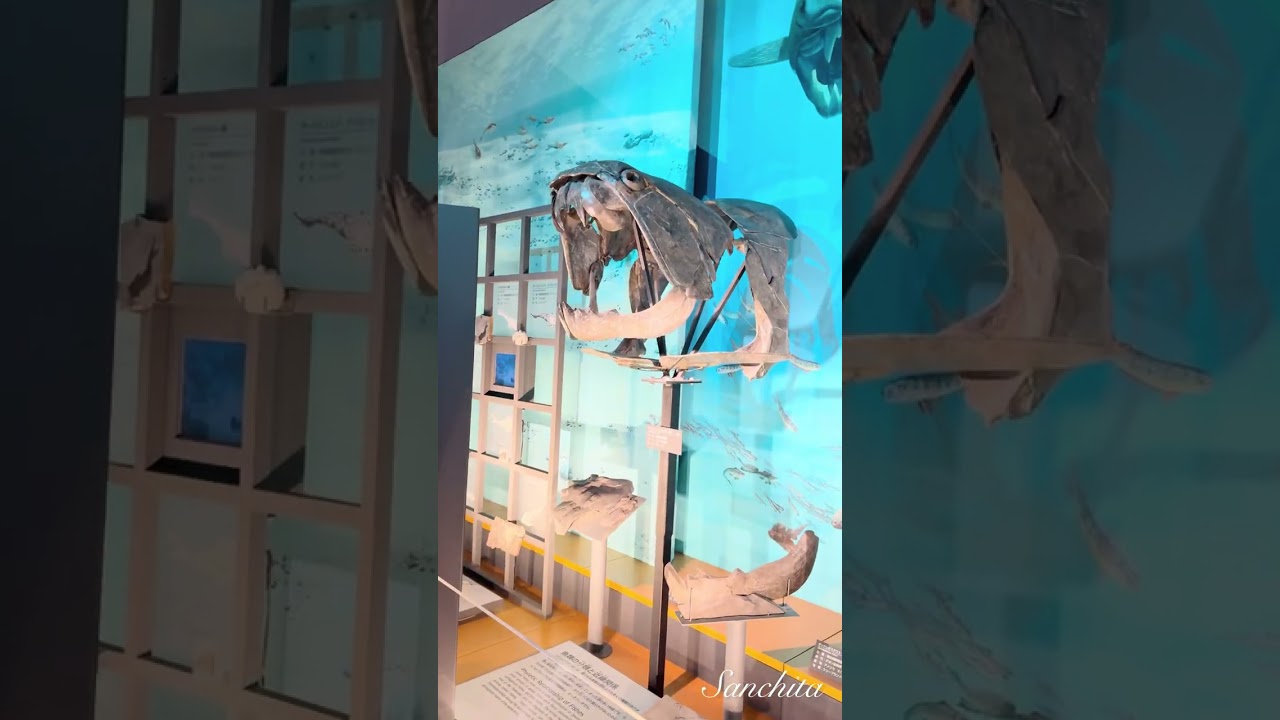 Visit to see real Dinosaur 🦕 Museum Japan 🦕