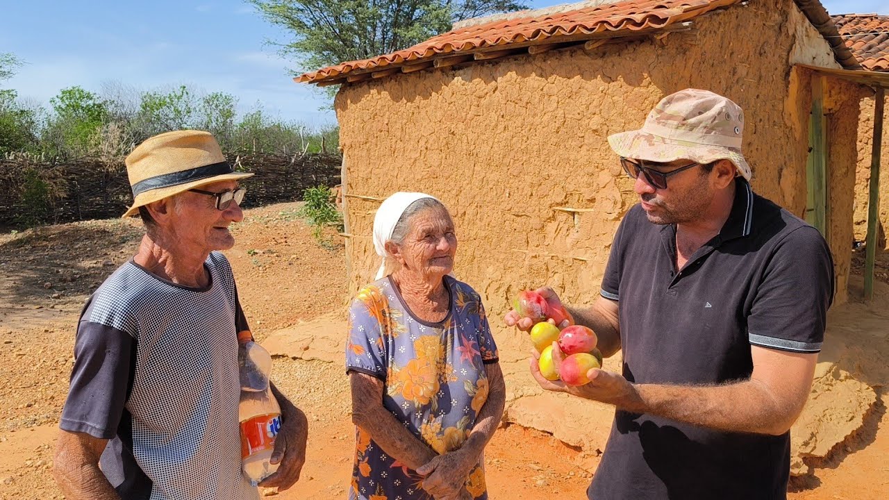 REPÓRTER MATUTO BATENDO PAPO COM SEU RUFINO E DONA TEREZINHA no sítio mamoeiro.
