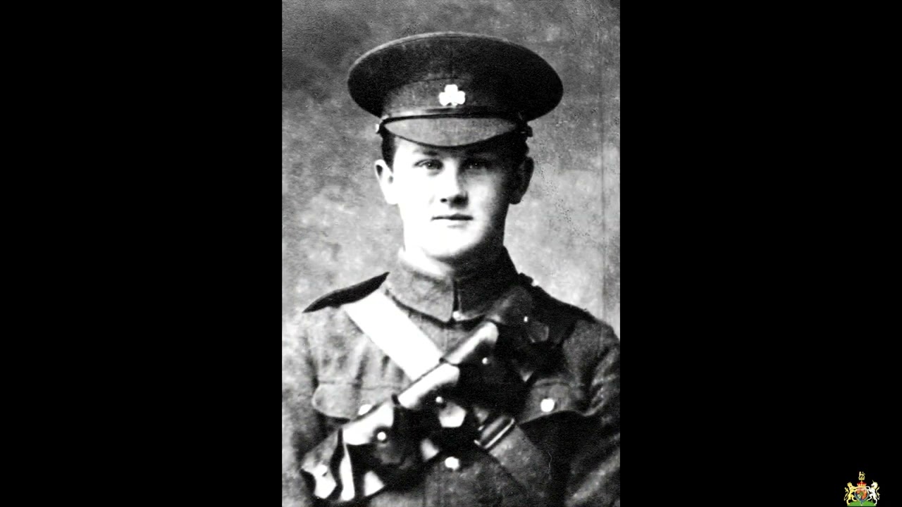 South Irish Horse - A Tribute