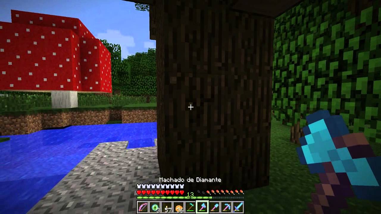 The End / Floresta Negra - Minecraft Em busca da casa automática #46-1.
