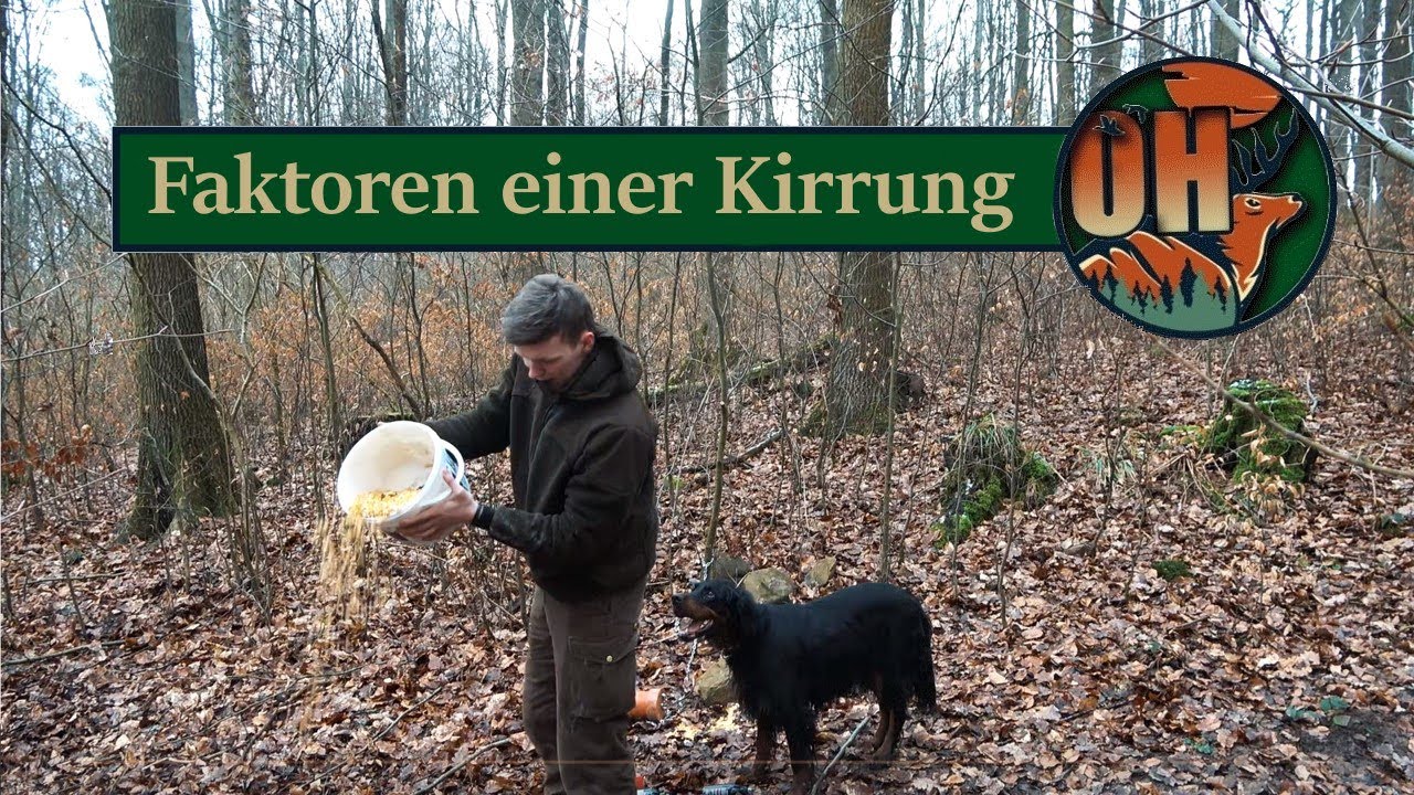Faktoren einer Kirrung I Jagdtipps #1