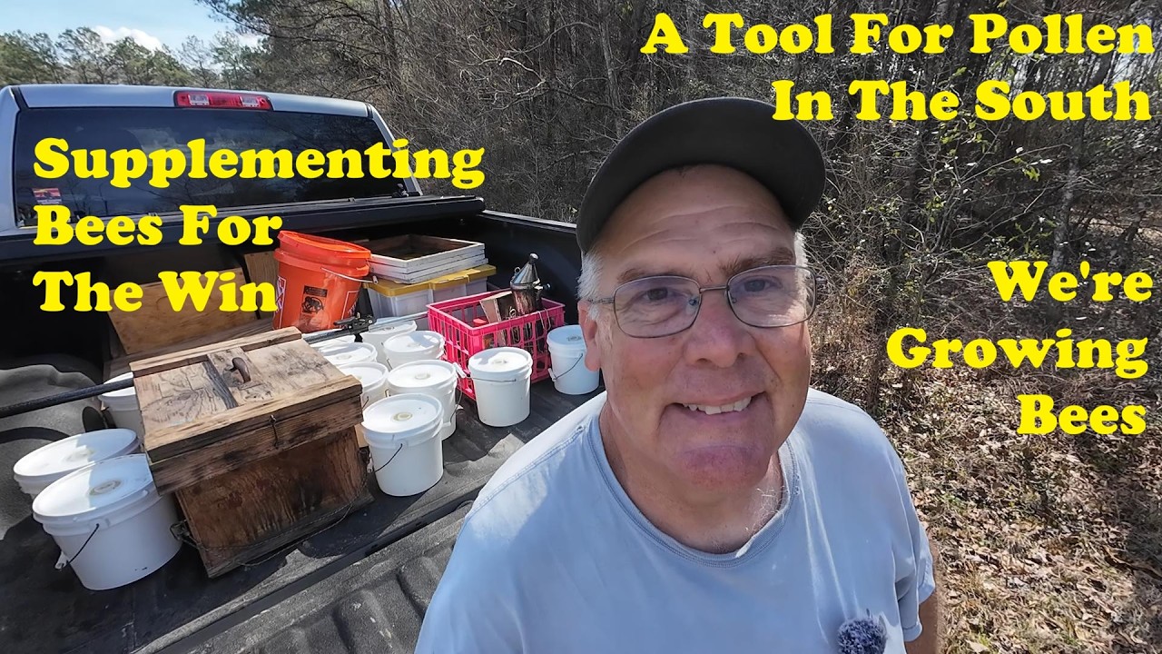 Boosting My Bees | Growing Bees to Split | Bees Brooding