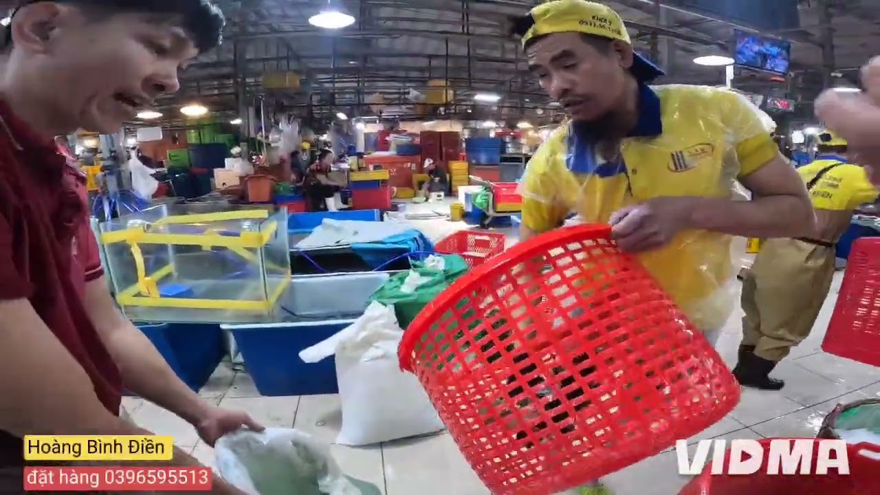 Giá Hải Sản Hôm nay tại chợ Bình Điền ngày 22/1. Tôm cá đang rất nhiều 