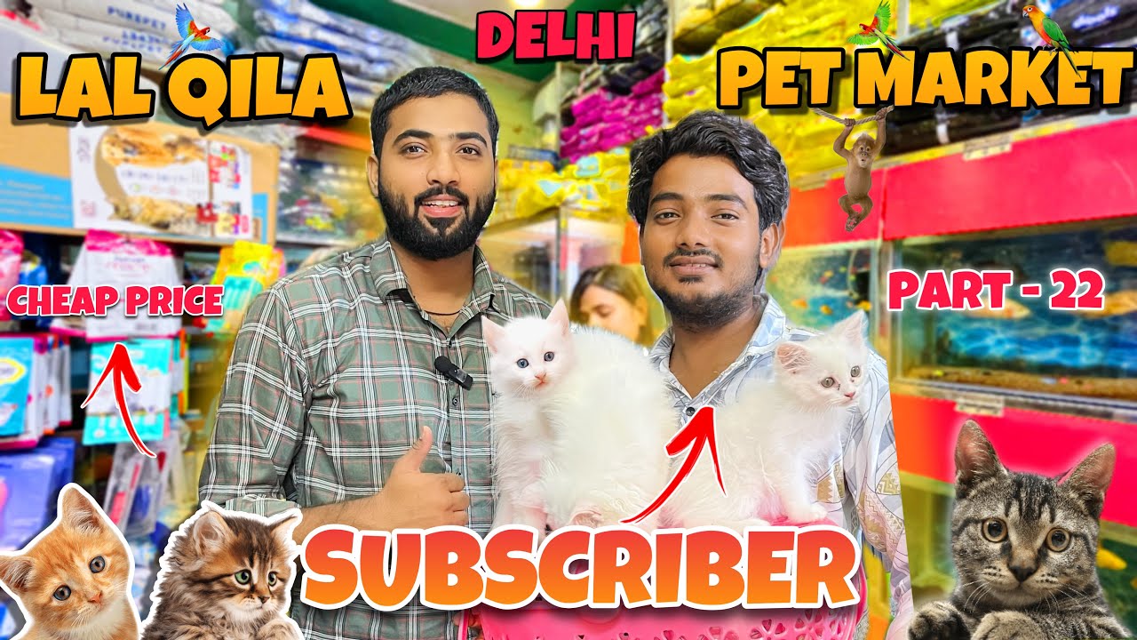(Delhi) Cheap Price Pet Market | 2024 | Lal Qila Pet Market | Part - 22 | Persian Cat , Parrot .