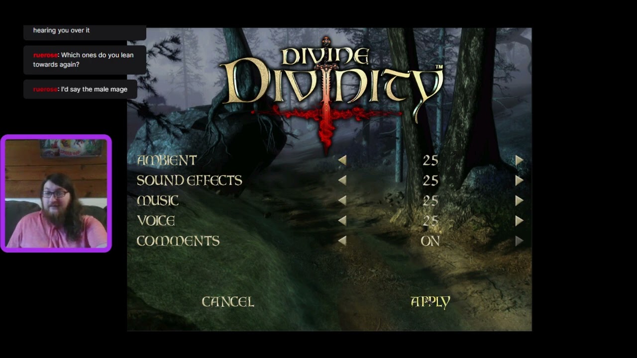 Old School RPGs: Divine Divinity