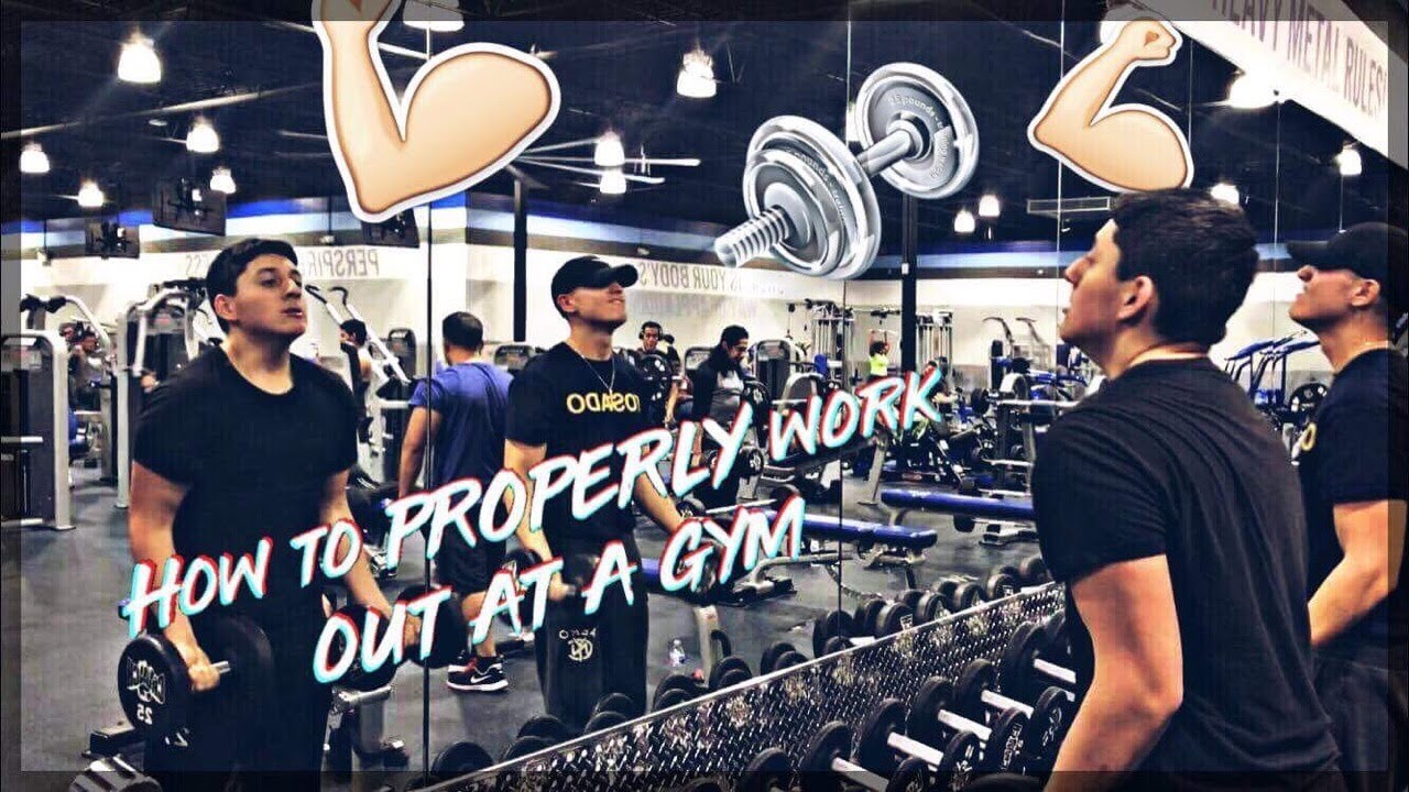 How to PROPERLY workout at a gym!