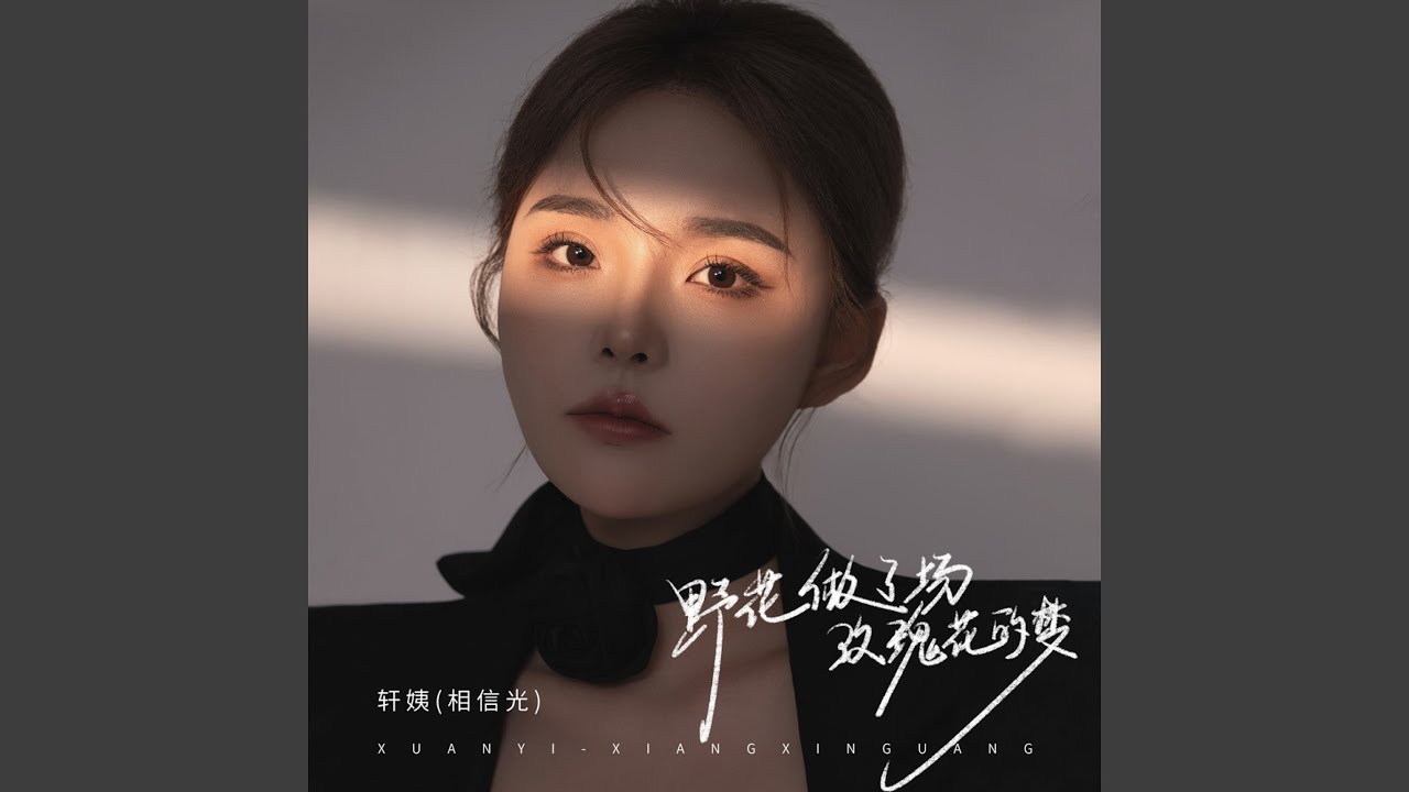 野花做了场玫瑰花的梦 (DJ九零版伴奏)