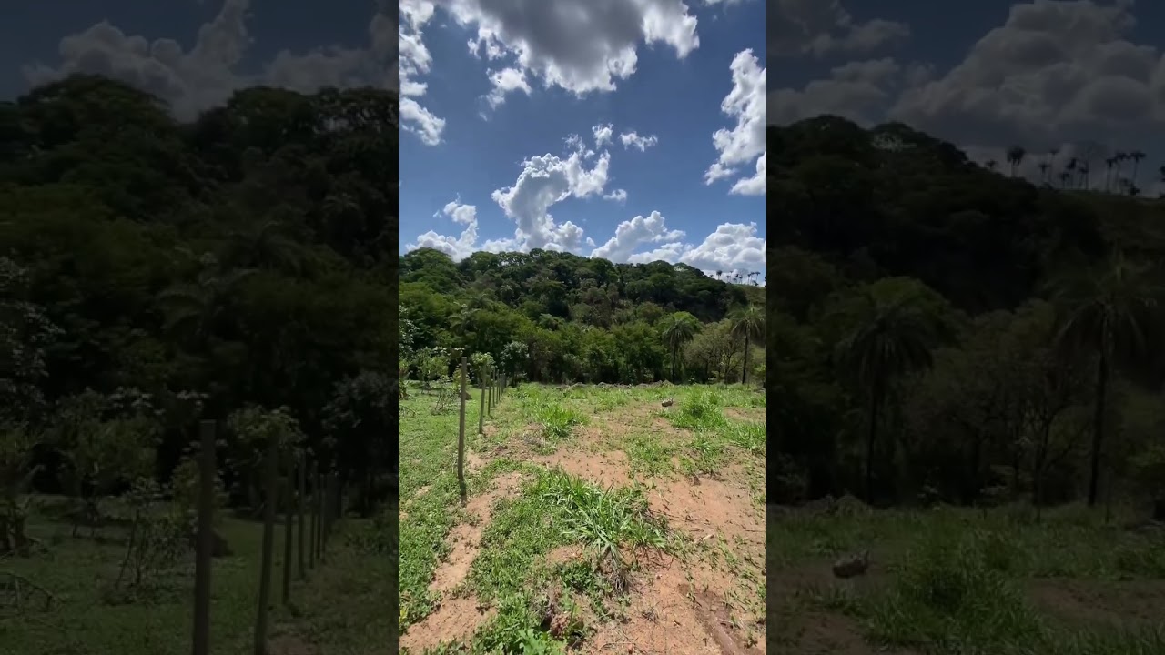 TERRENO &Agrave; VENDA EM BRUMADINHO 📍1.000m&sup2;, a 10 minutos de &aacute;guas claras. 🌳 #shorts