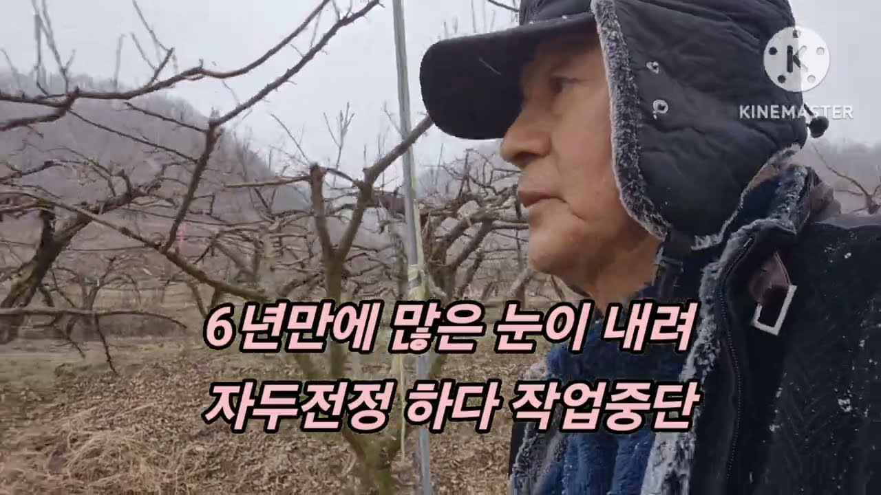 오랜만에 많은 눈이 내리다
