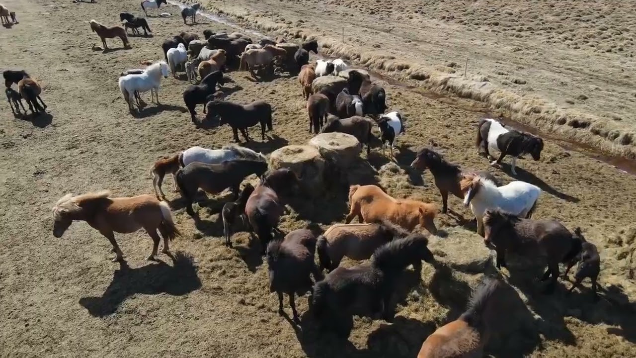 Türk Mitolojisi Neyi Anlatır? (Türk Mitolojisi 21-1)