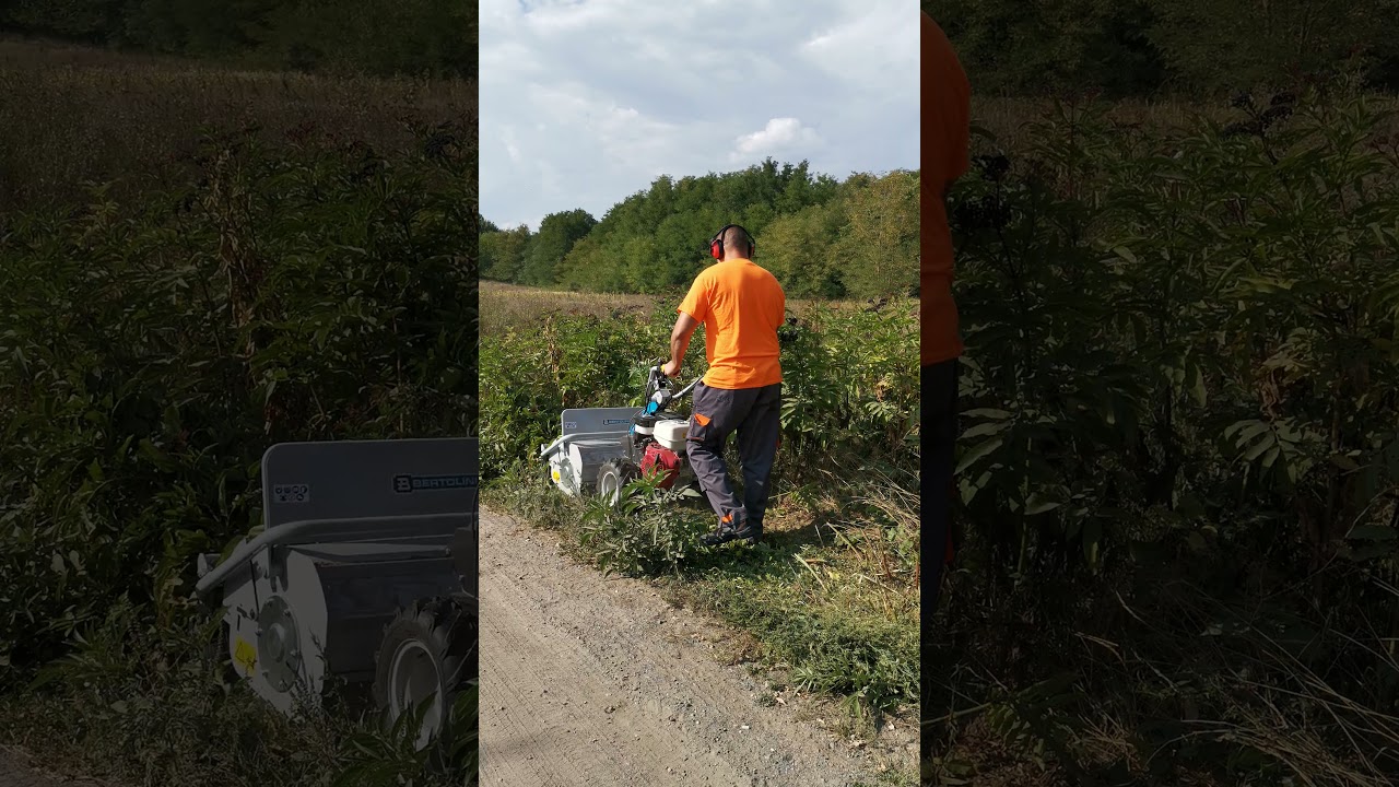 Bertolini Bts 80, bozótírtás, magasgazvágás, mulcsozás Pest megyében