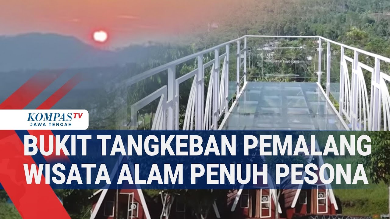 Bukit Tangkeban Pemalang Wisata Alam Penuh Pesona