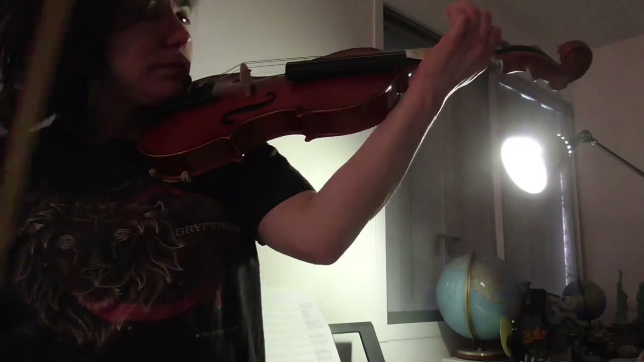 #music; Nouvel instrument/New instrument: le violon/the violin