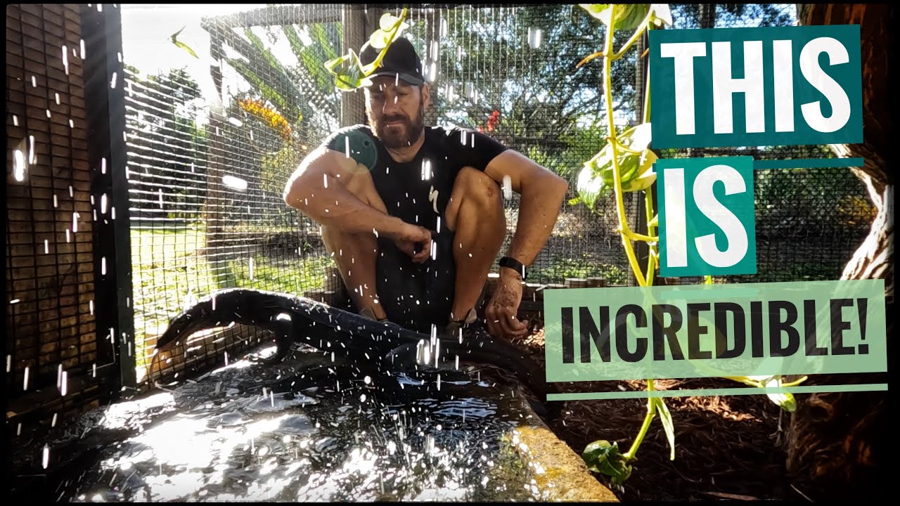 Amazing Behind the Scenes with Inky and Kenan!