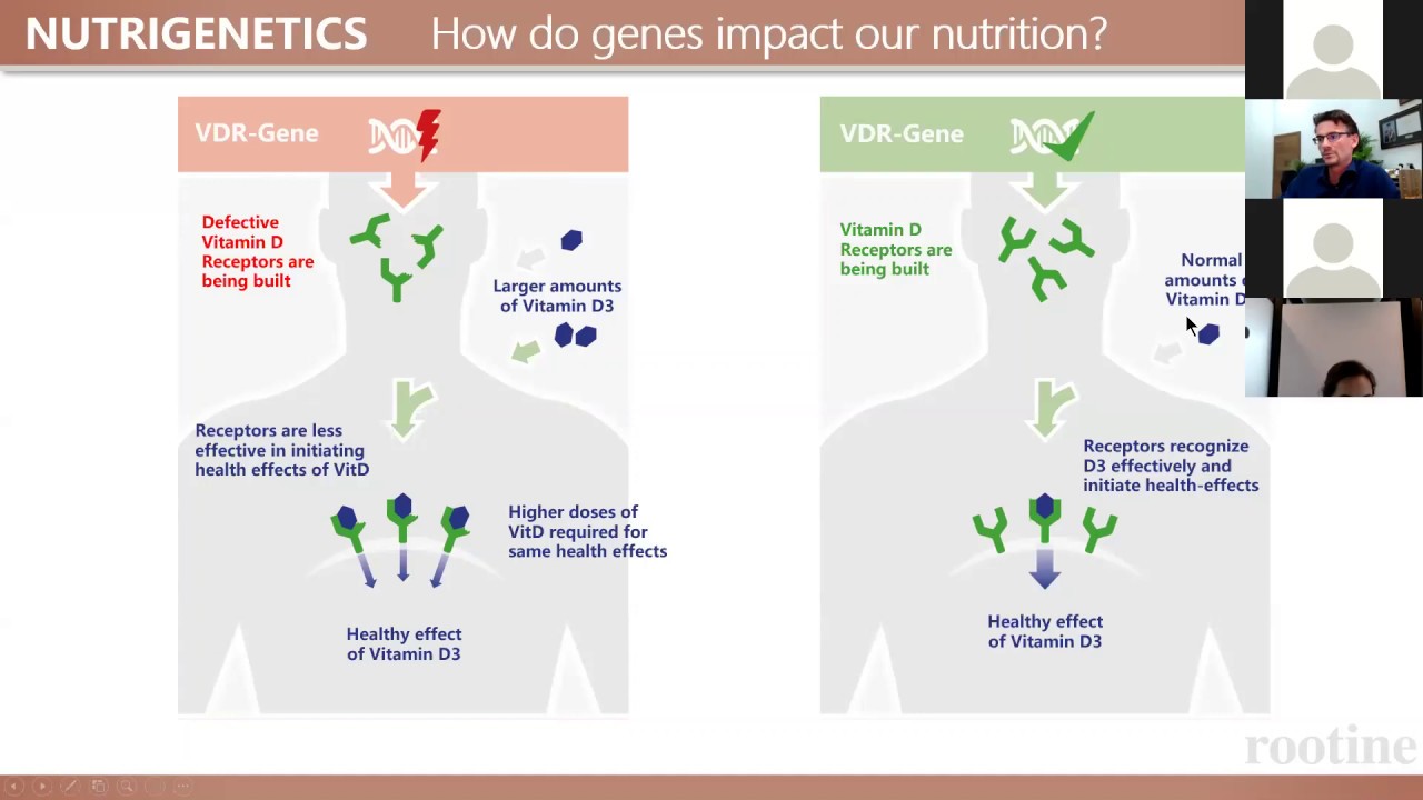 Understanding The VDR Gene and Vitamin D