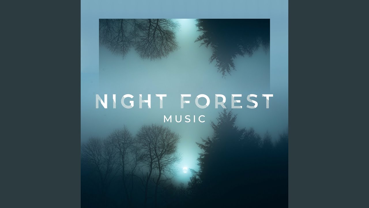 Moonlight Visions