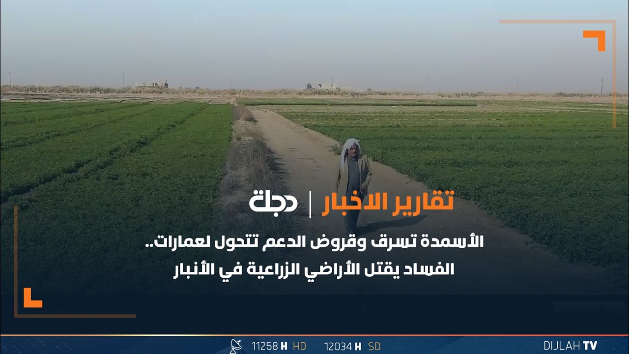 الأسمدة تسرق وقروض الدعم تتحول لعمارات.. الفساد يقتل الأراضي الزراعية في الأنبار