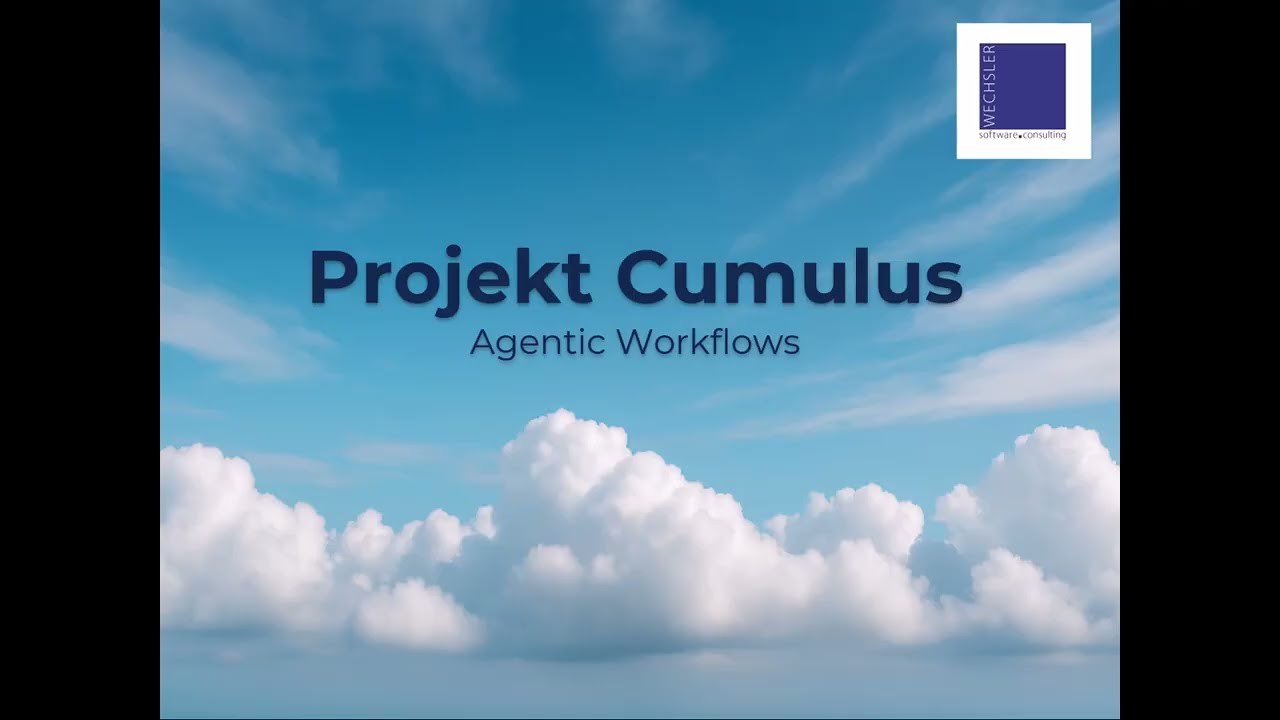 Wechsler Consulting - Projekt Cumulus