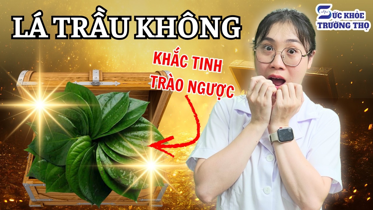 Chỉ 1 Nắm Lá Trầu Không, Hết Ngay Trào Ngược Dạ Dày - Chỉ Hiệu Quả Nếu Dùng Đúng Cách