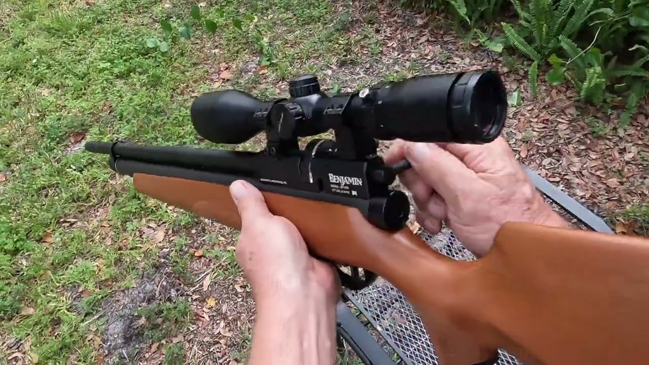 Benjamin Marauder Target Practice