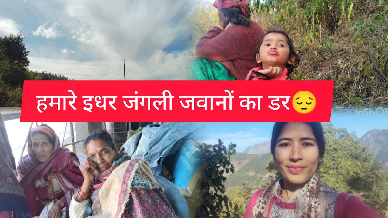 😔अब तो अकेले जाने की हिम्मत भी नि हो रि।🙏।।#phadi lifestyle vlogs।। Uttrakhandi vlogs