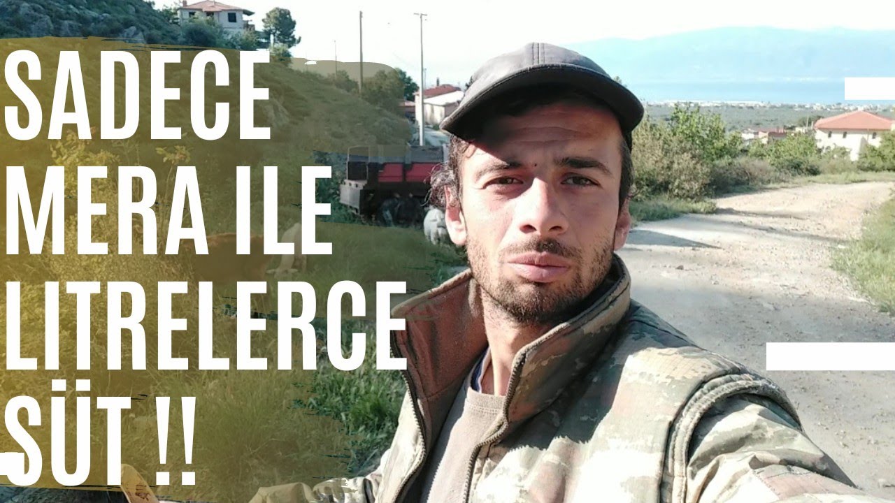 21 KEÇİDEN KAÇ KG SÜT ALIYORUM? #merahayvancılığı