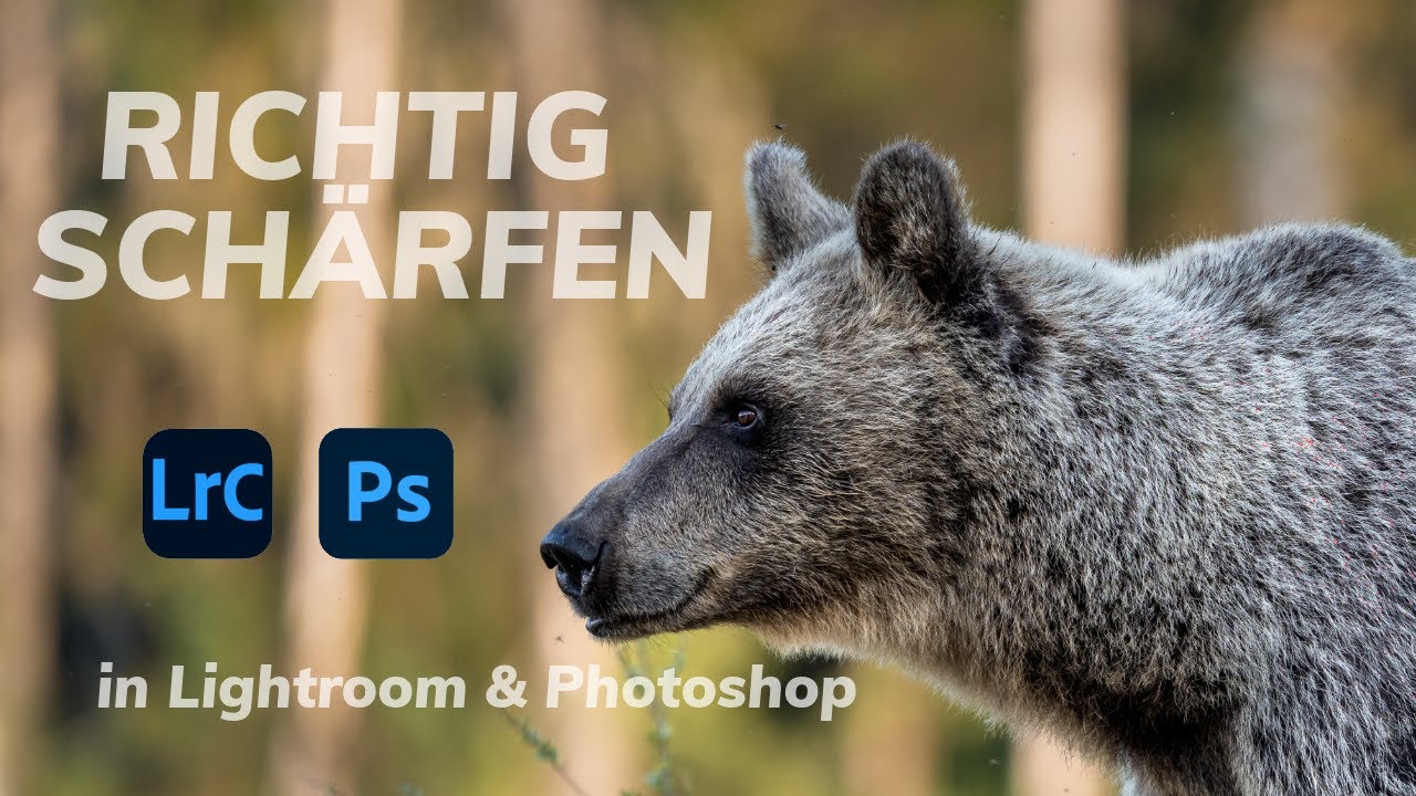 FOTOS SCHÄRFEN - in Lightroom und Photoshop