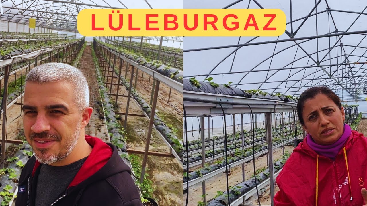 Kırklareli LÜLEBURGAZ Gezisi | Gülseren'in 20 yıllık öğretmenlik hayatından çilek seracılığına