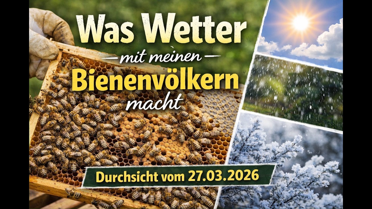 Was Wetter mit meinen V&ouml;lkern macht! Durchsicht 27.03.2026