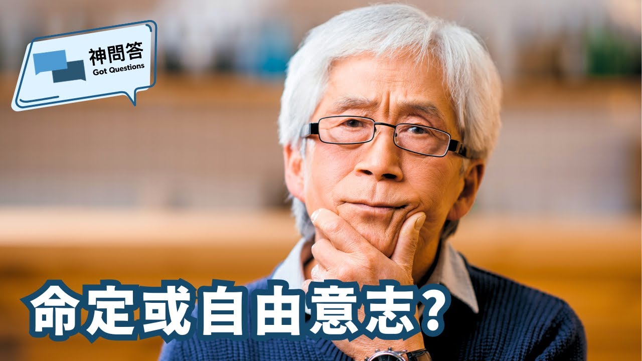 加爾文主義和阿民念主義，哪一種觀點是正確的？