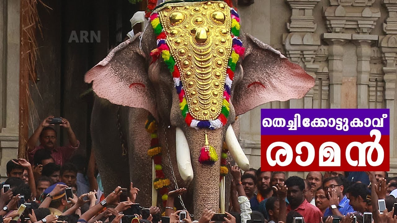 Thechikottukavu Ramachandran Entry at Thrissur Pooram 2019