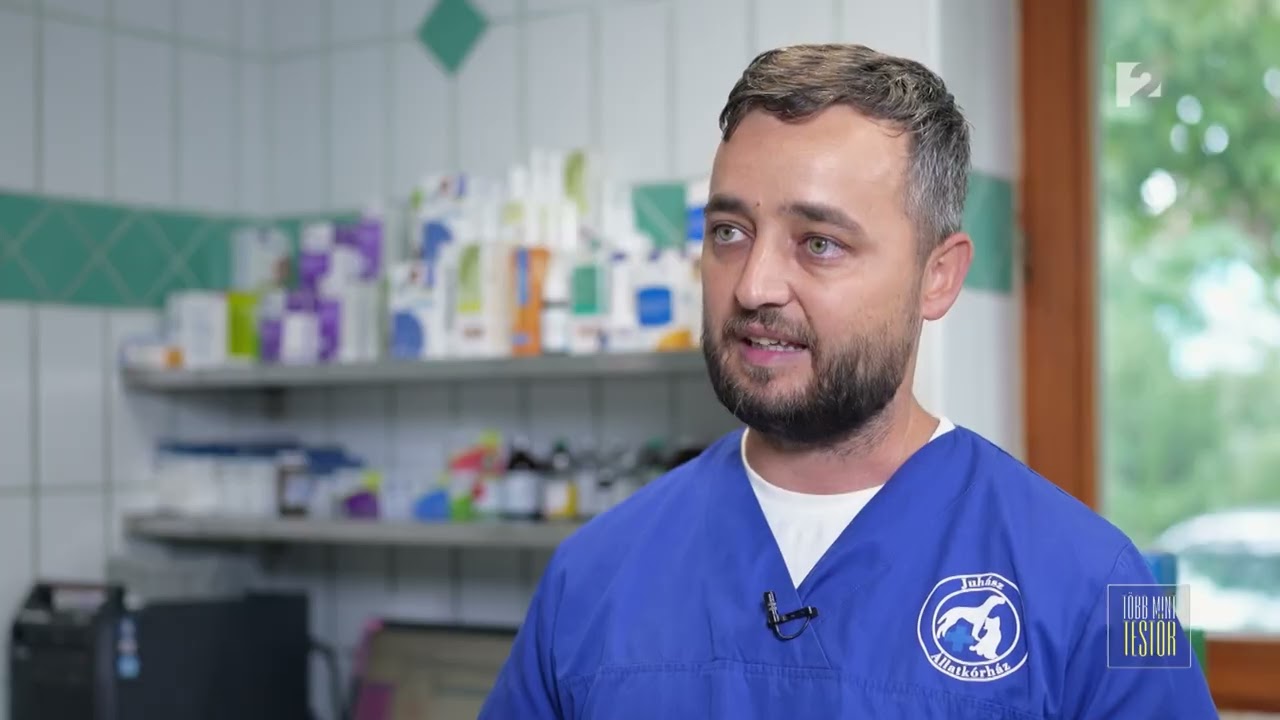 Usamedical