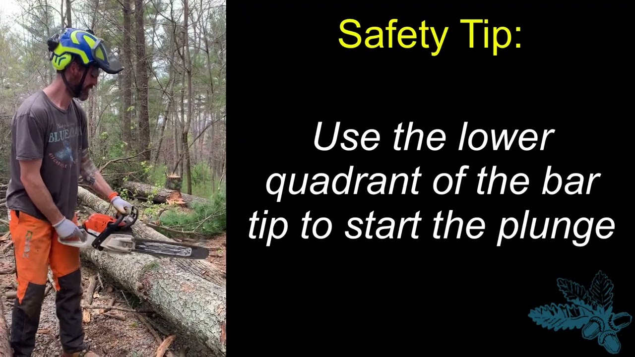 Chainsaw basics: Bucking logs with plunge cut technique (Instructional video)
