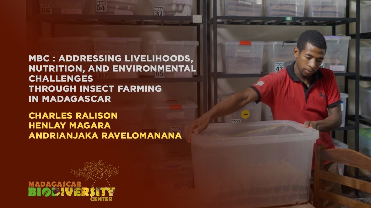 Small scale farming at the Madagascar Biodiversity Center