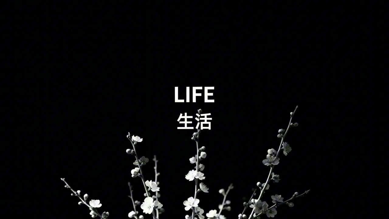Life 4K Wallpaper & Screensaver | Black and White Minimalist Background (No Sound)
