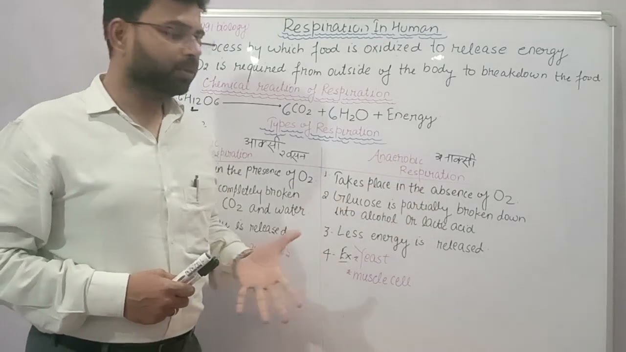 Respiration in human(types of respiration)