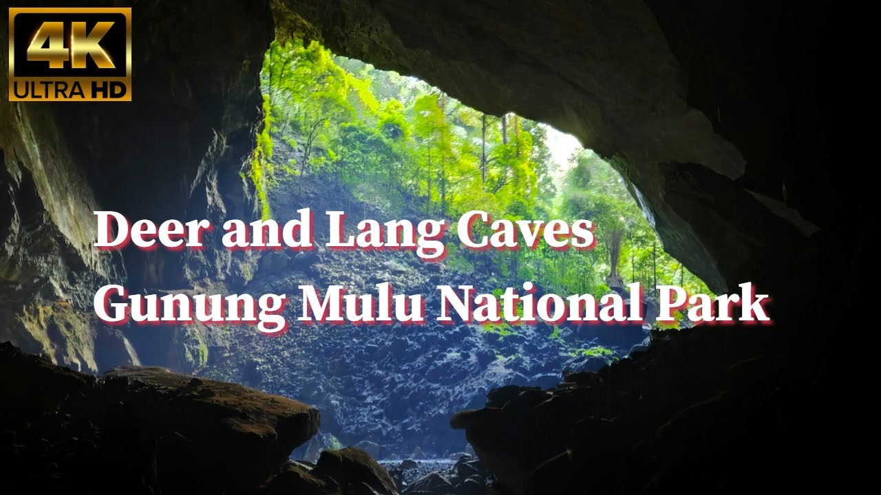 The UNESCO World Heritage Site | Amazing Deer and Lang Caves | Jungle walking | Bat Exodus