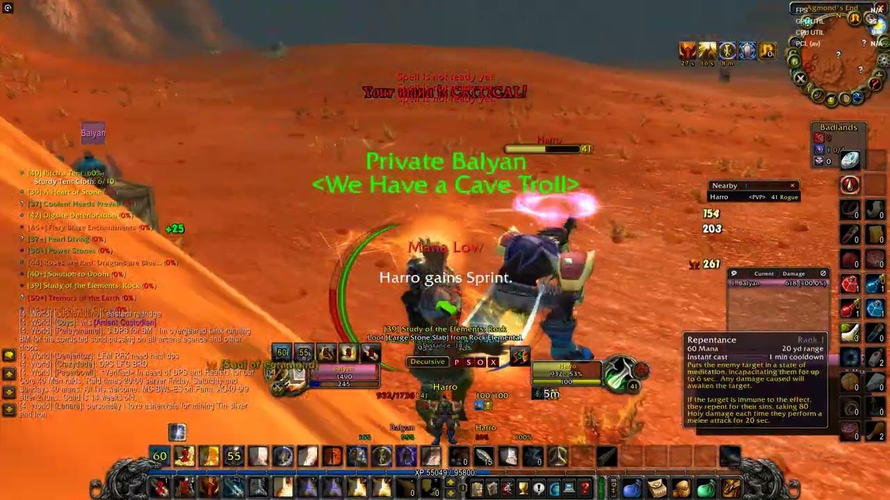 Turtle WOW,retribution paladin in open world PVP - I regret killing that rouge